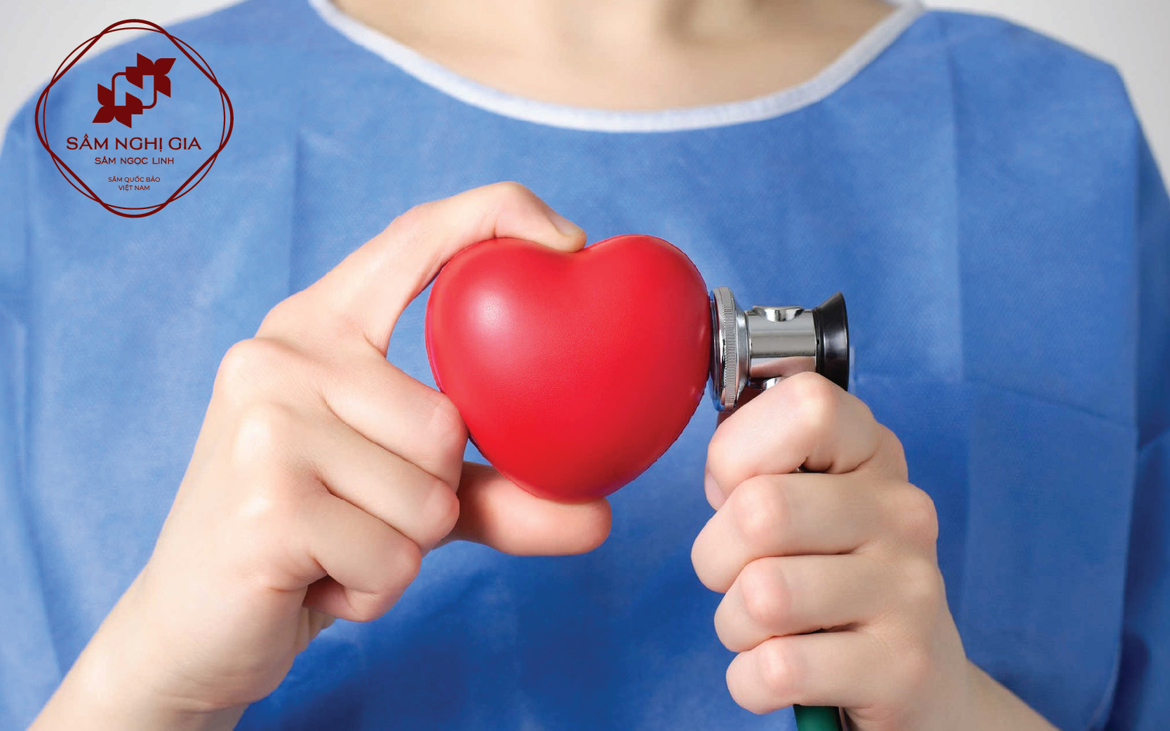 Tác dụng của sâm Ngọc Linh là nâng cao sức khỏe tim mạch