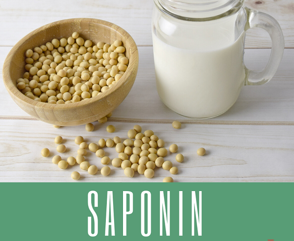 Saponin có khá nhiều trong các thực phẩm họ Đậu