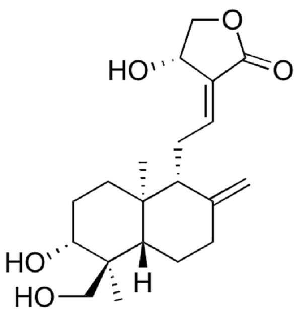 Cấu trúc hóa của andrographolide.
