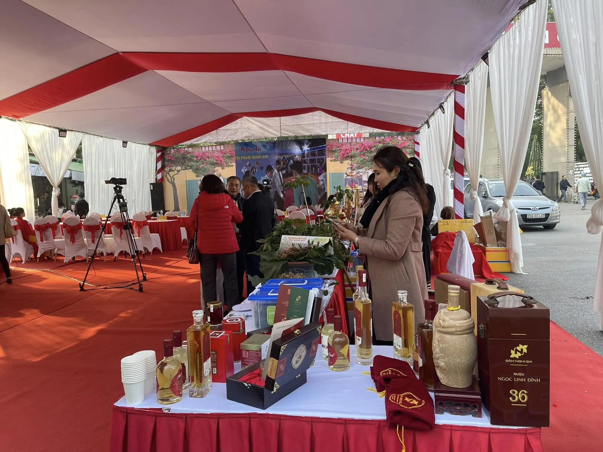Sâm Ngọc Linh Nghị Gia Tỏa Sáng Tại Hội Nghị Kết Nối Giao Thương Quảng Nam 2024 Ảnh 4