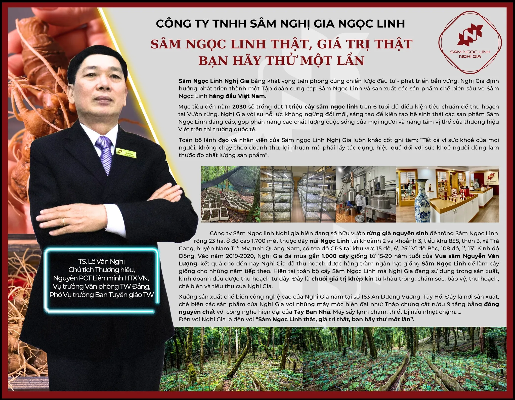 Sâm Ngọc Linh Nghị Gia - Vinh Dự Đồng Hành Cùng Lễ Tôn Vinh Doanh Nhân, Doanh Nghiệp Thăng Long 2024 Ảnh 4