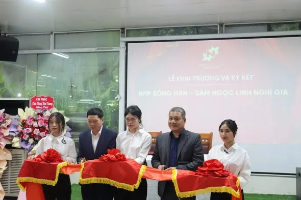 Lễ Khai Trương Và Ký Kết Nhà Phân Phối Sâm Ngọc Linh Nghị Gia Tại Hải Phòng 3