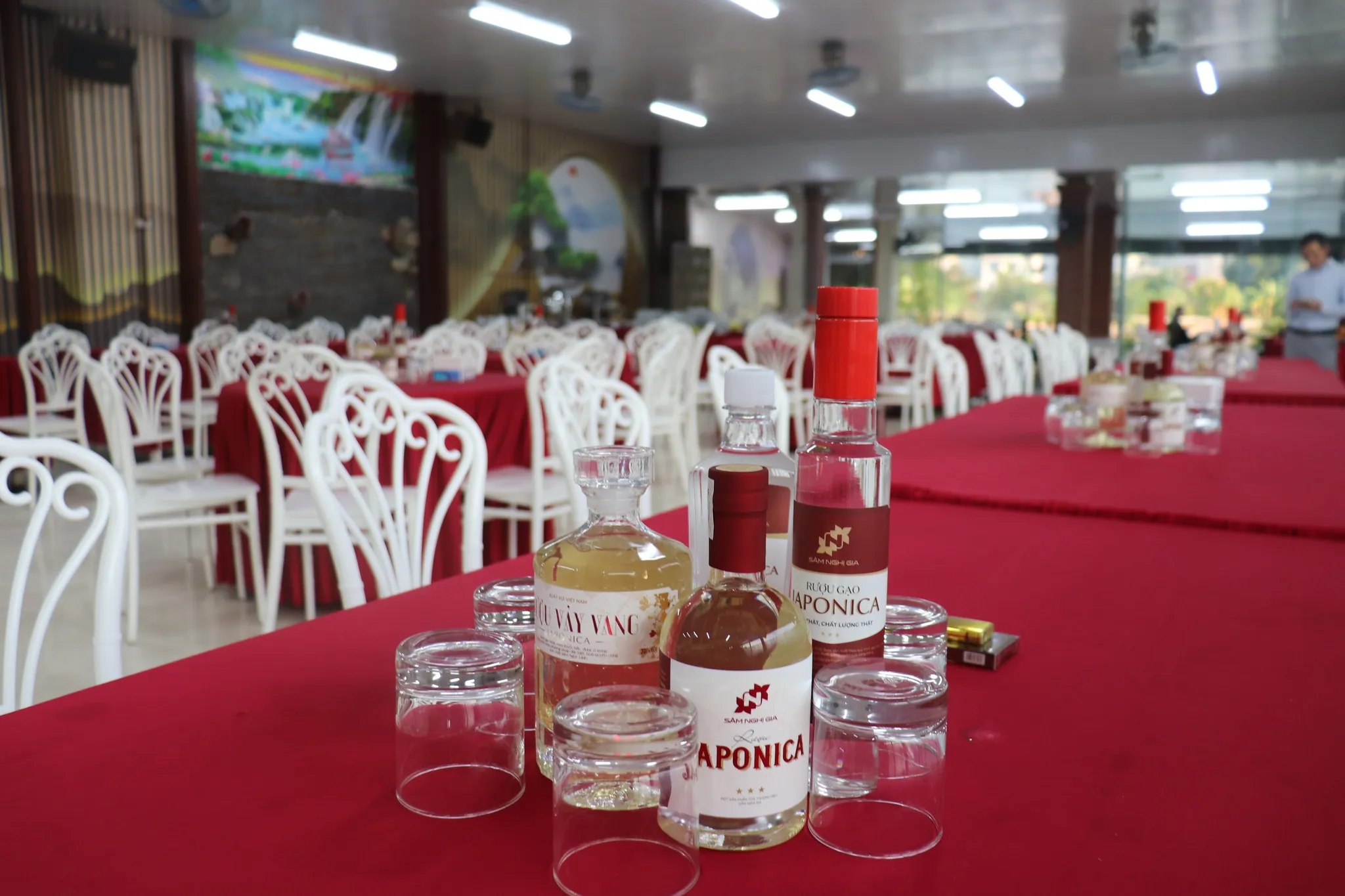 Lễ Khai Trương Và Ký Kết Nhà Phân Phối Sâm Ngọc Linh Nghị Gia Tại Hải Phòng 8